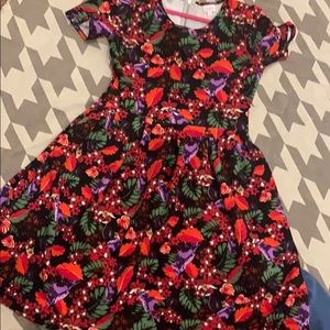 Lularoe Amelia